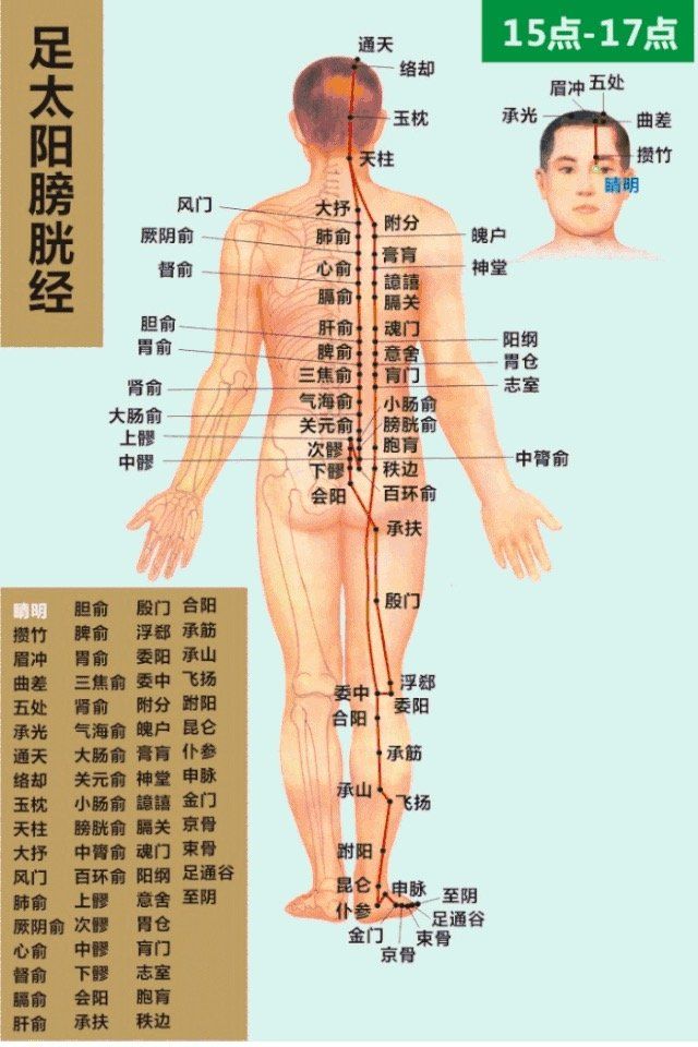 Bladder Meridian- 足太阳膀胱经 diagram