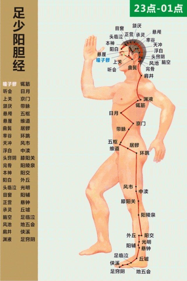 Gallbladder Meridian- 足少阳胆经 diagram
