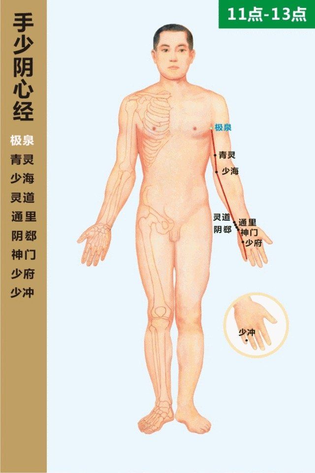 Heart Meridian- 手少阴心经 diagram