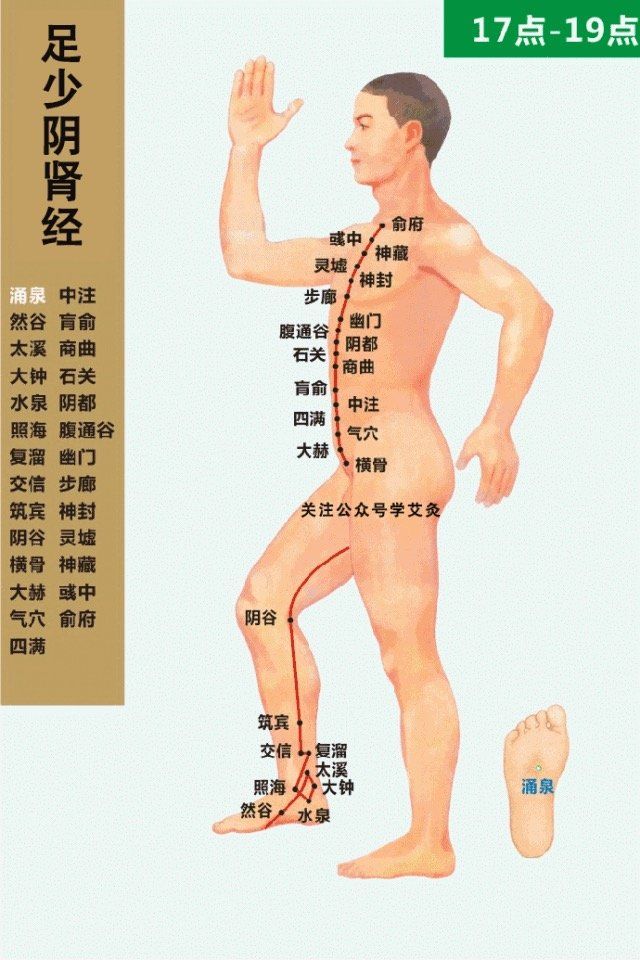 Kidney Meridian- 足少阴肾经 diagram