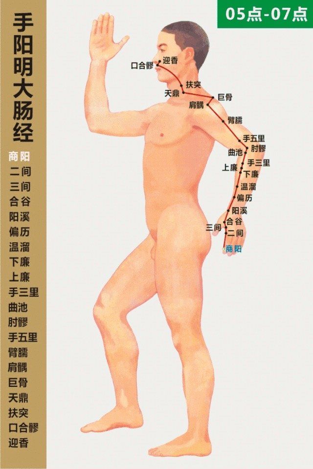 Large Intestine Meridian- 手阳明大肠经 diagram