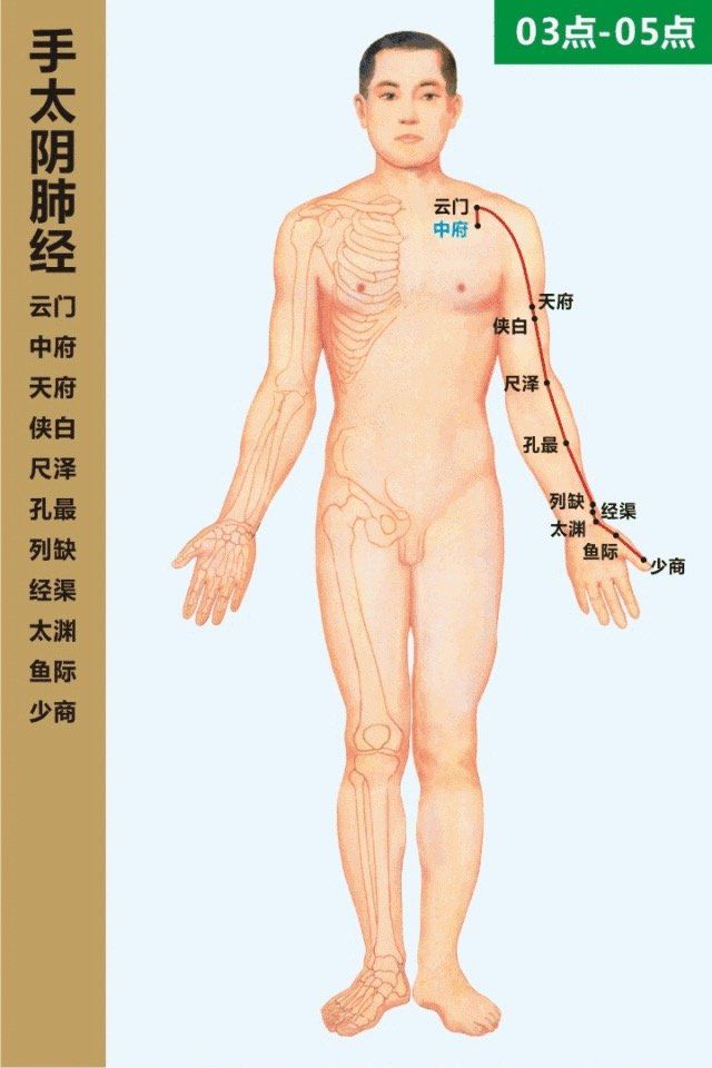 Lung Meridian- 手太阴肺经 diagram