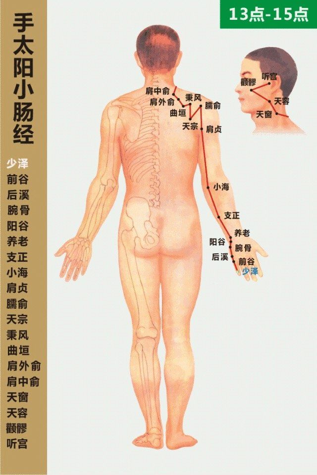 Small Intestine Meridian- 手太阳小肠经 diagram